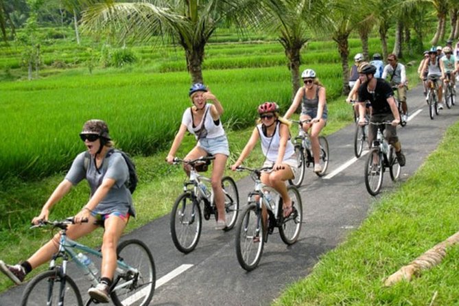 Bali Countryside Cycling Tour by Halo Bike Tour - The coffee plantation stop: a calm start with a useful reset