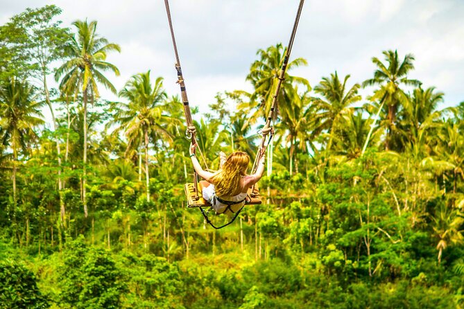 Bali Cultural Experience - Key highlights you’ll care about