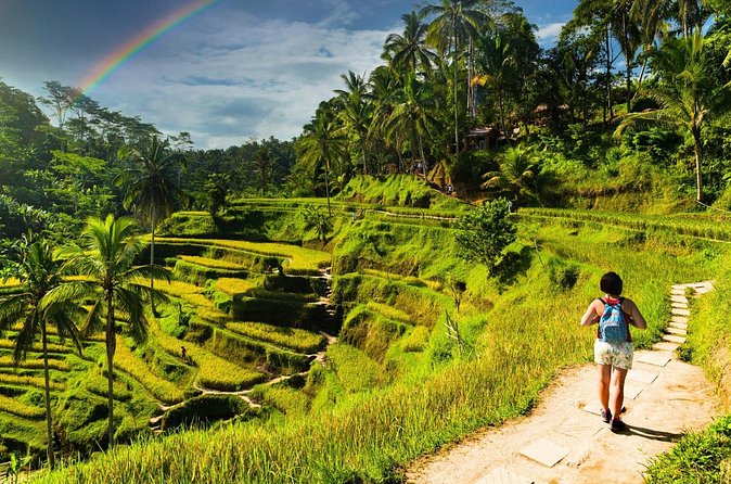 Bali Cultural Experience - What the schedule feels like: paced but not rushed