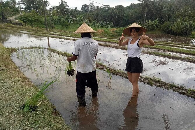 Bali Cultural Heritage Bamboo Forest Tour (Private All Inclusive) - Timing, Comfort, and What the 8 Hours Actually Feels Like