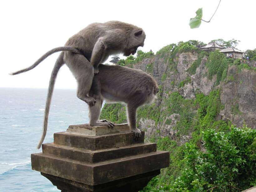 Bali: Customizable Beach Day Tour with Hotel Pickup - Suluban Beach: rocky-water swimming with cliff-style drama
