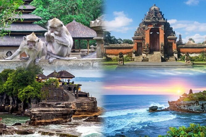 Bali Day Trip: Bali Instagram Tour (All Inclusive & Private) - Bali Swing and Bird Nest: adrenaline, views, and how to handle the energy