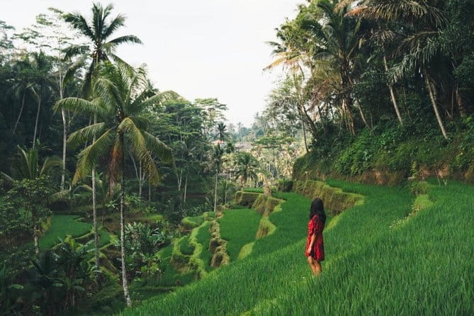 Bali day trip : Batur Sunrise Hike and Hot Spring All inclusive - Who This Tour Suits (and Who Should Rethink It)