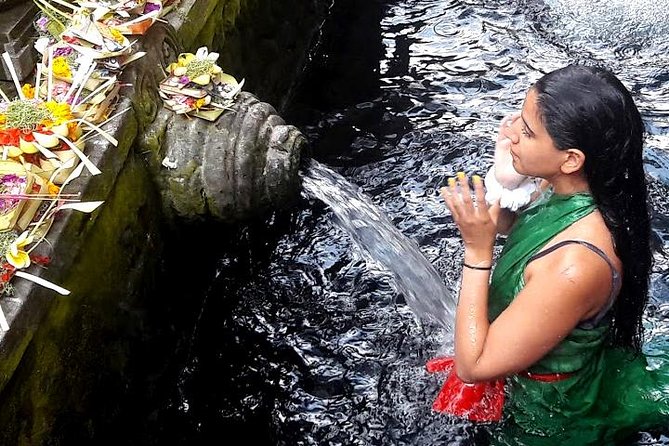Bali Day Trip: Ubud Temples & Hidden Waterfalls - Price and time: what $39 really covers