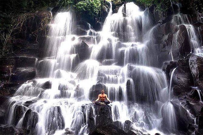 Bali Day Trip: Ubud Temples & Hidden Waterfalls - Tegalalang Rice Terrace: classic views with traditional irrigation