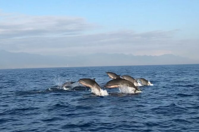 Bali Dolphin Lovina tour and Ulundanu Beratan - Arriving at Lovina Beach and using a traditional boat