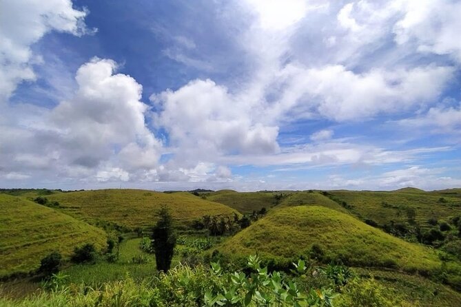 Bali East Nusa Penida Private Tour - All Inclusive - Rumah Pohon Molenteng: the photo moment, plus the small fee