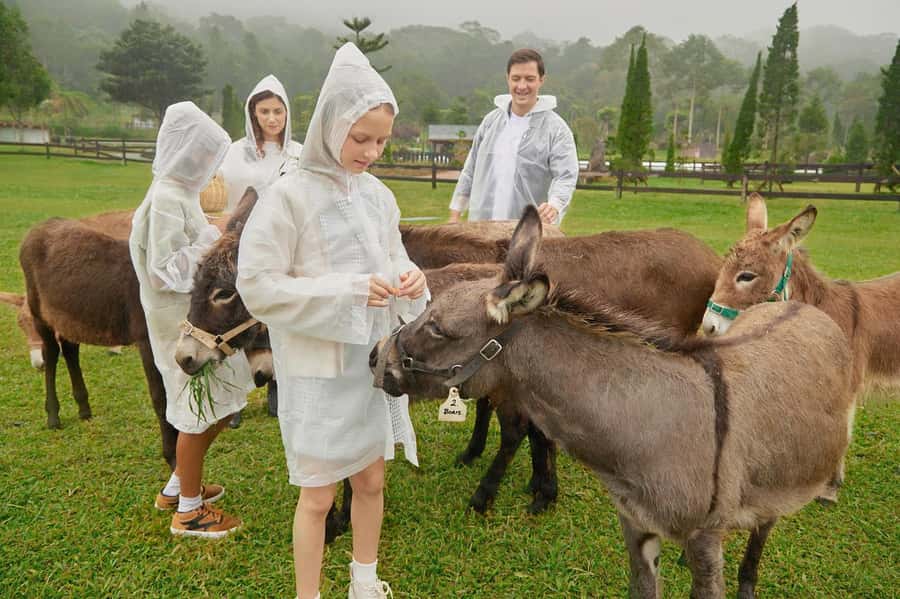 Bali: Farm House Experience with Entry Ticket & Options - Key things to love about Bali Farm House