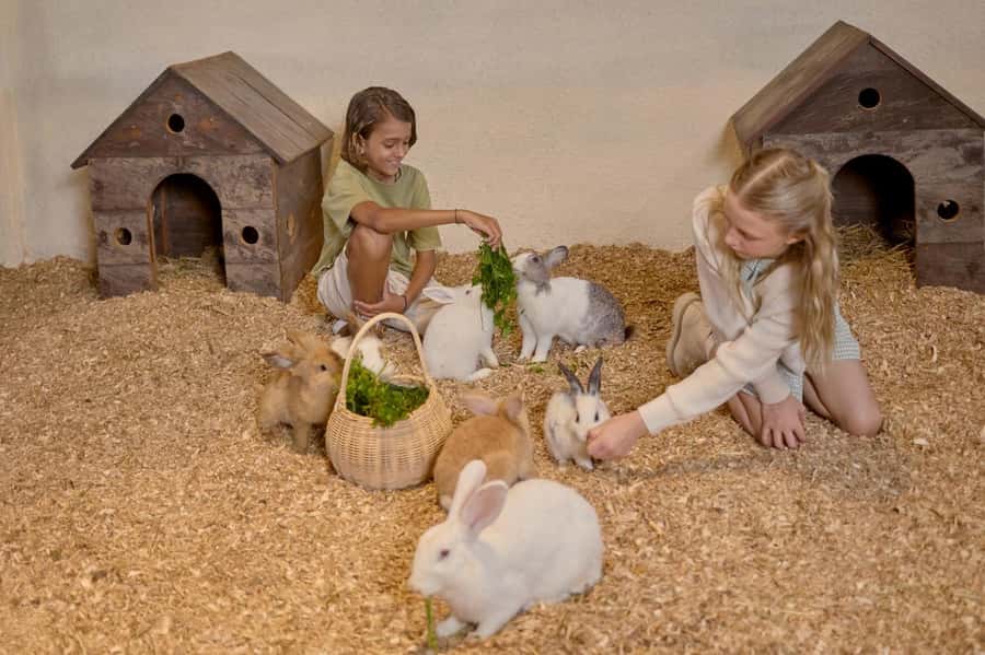 Bali: Farm House Experience with Entry Ticket & Options - The outdoor playground: more than a side detail