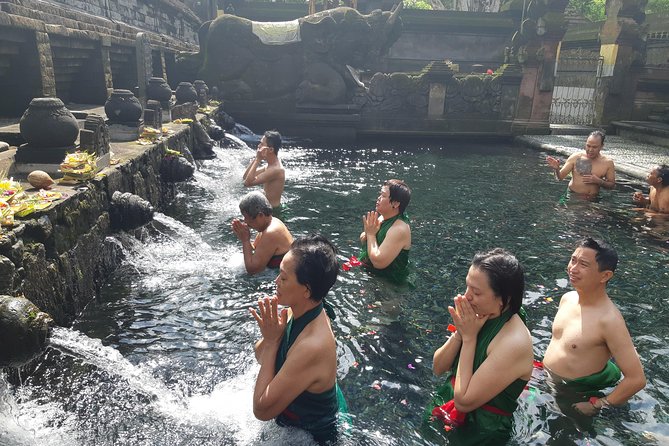 Bali Full Day Holy Water Tour - Comfort and Timing: The Van, Pickup, and Your Driver’s Role