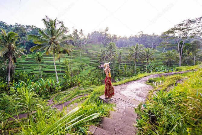 Bali Full-Day Sightseeing Trip with Lunch - Key highlights worth your attention