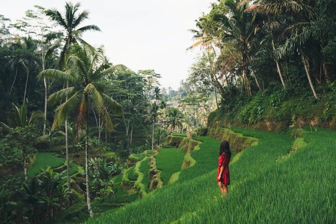 Bali Full-Day Sightseeing Trip with Lunch - Tegalalang Rice Terrace: Classic Paddies and a Slow Stroll