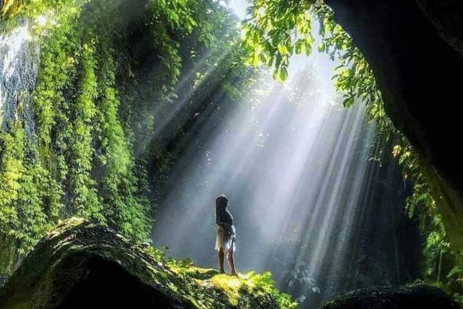 Bali Full Day Tour - East Bali Instagram Tour - Should you book this East Bali Instagram tour?