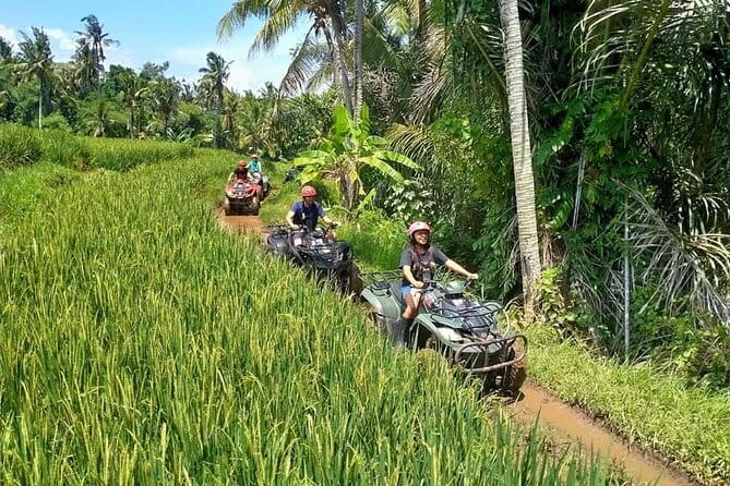 Bali Full-Day Tours : Waterfall and Ubud Destination Trip - Tegenungan Waterfall: your first big “Bali moment” (and how to enjoy it)
