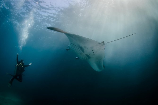 Bali Hai - Reef Cruise - Key points I’d plan around