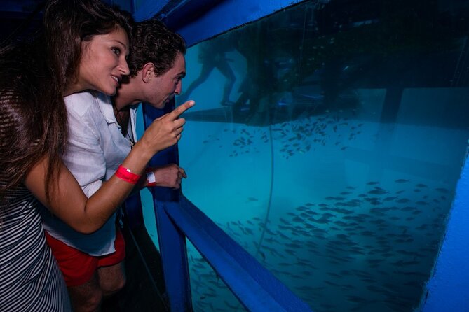 Bali Hai - Reef Cruise - Price and Value: What You’re Paying For at $143