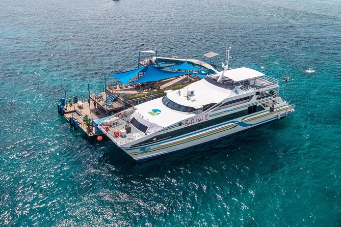 Bali Hai - Reef Cruise - Snorkeling, Coral Viewing, and Reef Restoration