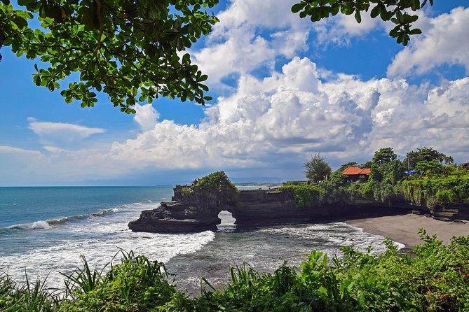 Bali Half Day Tour - Taman Ayun temple, Alas Kedaton,Tanah lot sunset Dinner - Alas Kedaton Monkey Forest: Real Animals, Real Energy