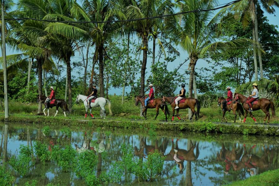 Bali: Horse Riding on Pigstone Beach and in the Rice Fields - Key things that make this ride worth your time