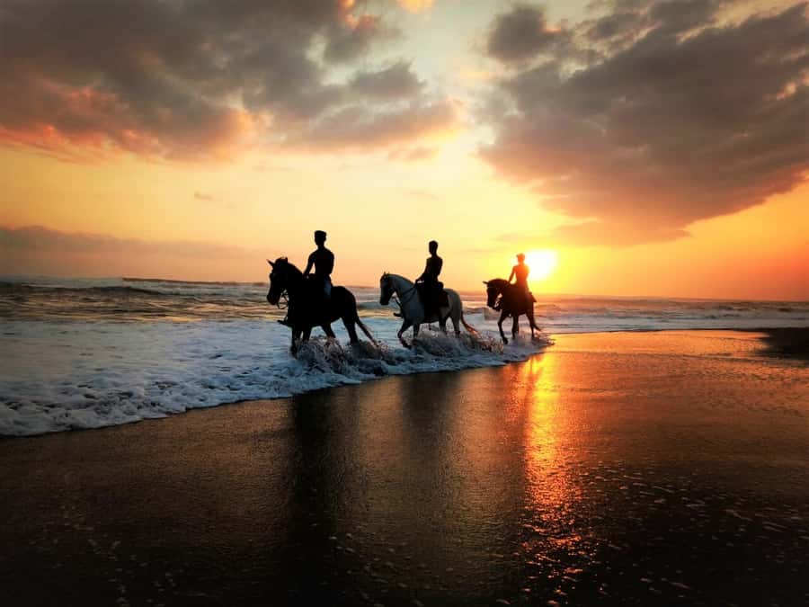 Bali: Horse Riding on Pigstone Beach and in the Rice Fields - Pig Stone Beach time: sand, waves, and controlled speed