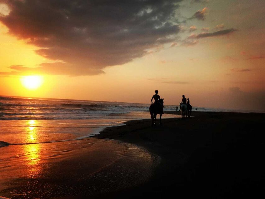 Bali: Horse Riding on Pigstone Beach and in the Rice Fields - How the guides teach you: calm instructions, level-matched horses