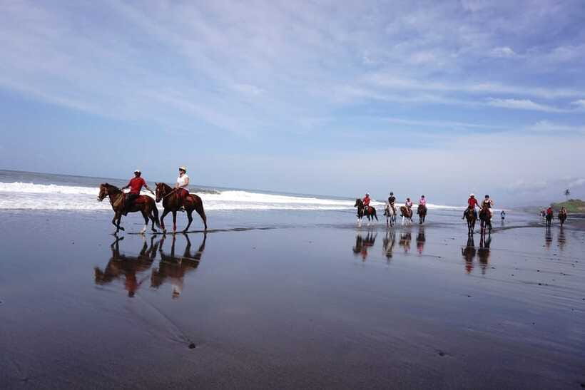 Bali: Horse Riding on Pigstone Beach and in the Rice Fields - What the 90 minutes feel like, step by step