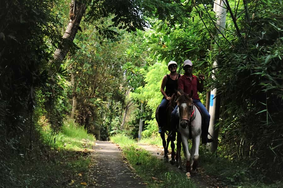 Bali: Horse Riding on Pigstone Beach and in the Rice Fields - Price and value: why $56 can be a fair deal