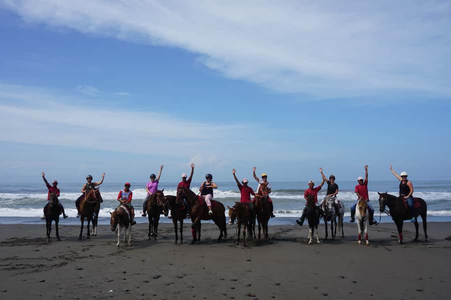 Bali: Horse Riding on Pigstone Beach and in the Rice Fields - Who this Bali ride fits best (and who should skip it)