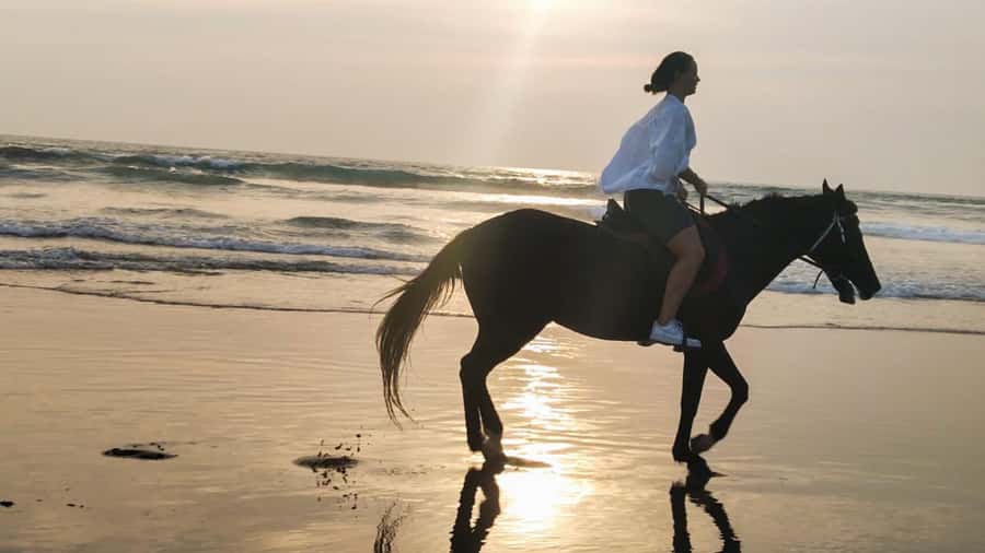 Bali: Horse Riding Tour on Seminyak Beach Include Transport - Key Points I’d Focus On