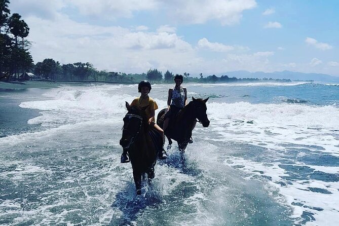Bali Horse Riding Trot & Canter Saba Beach with Local Temple - Saba Beach Horse Riding: The Bali Feeling You Can Actually Do