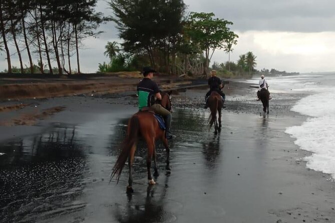 Bali Horse Riding Trot & Canter Saba Beach with Local Temple - The Temple Stop: How Culture Fits Without Feeling Like a Lecture