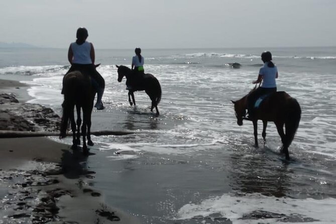 Bali Horse Riding Trot & Canter Saba Beach with Local Temple - Price Check: Is $39 Good Value?