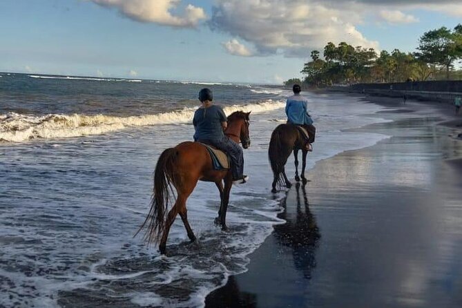Bali Horse Riding Trot & Canter Saba Beach with Local Temple - What To Bring for a Smooth Day