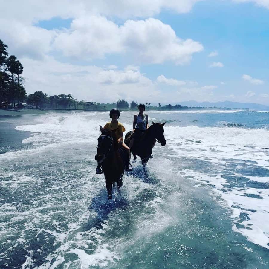 Bali: Horseback Tour Through Saba Beach and Local Temples. - Key things I’d book this for