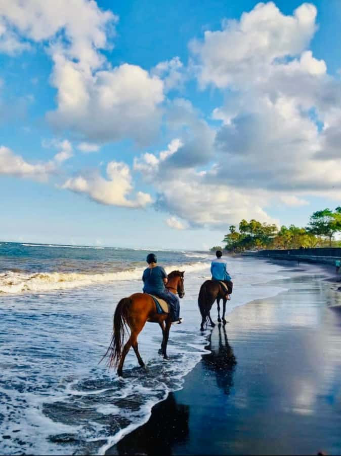 Bali: Horseback Tour Through Saba Beach and Local Temples. - The 30–60 Minute Timeline: From Safety Briefing to Stable Photos