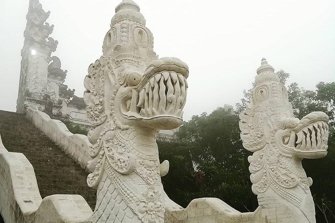 Bali Instagram Tour from Your Hotel (Private & Full-day) - Ubud’s rice terraces and temple stops without the headache