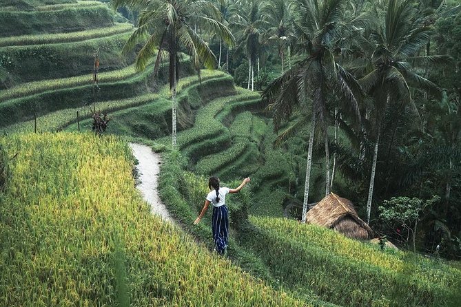 Bali Instagram Tour from Your Hotel (Private & Full-day) - The beaches and cliffs: an Instagram spots menu with real tradeoffs