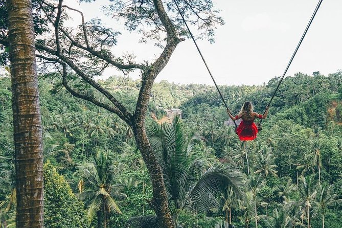 Bali Instagram Tour from Your Hotel (Private & Full-day) - East Bali’s big three: Lempuyang, Tirta Gangga, and the cave waterfall look