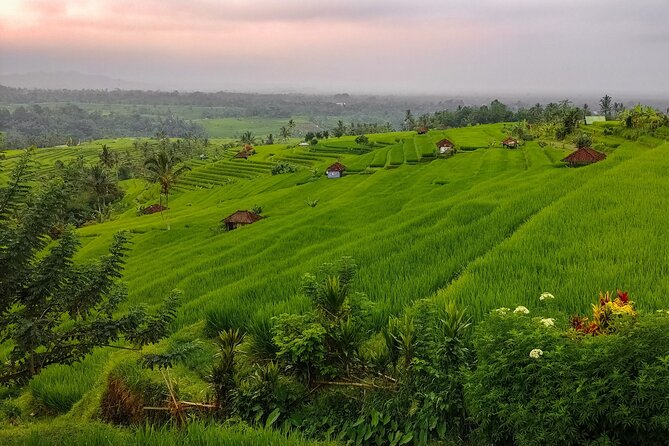 Bali Instagram Tour - Lempuyang Bali Gate of Heaven - What you’ll miss (and what to watch for) with this kind of itinerary
