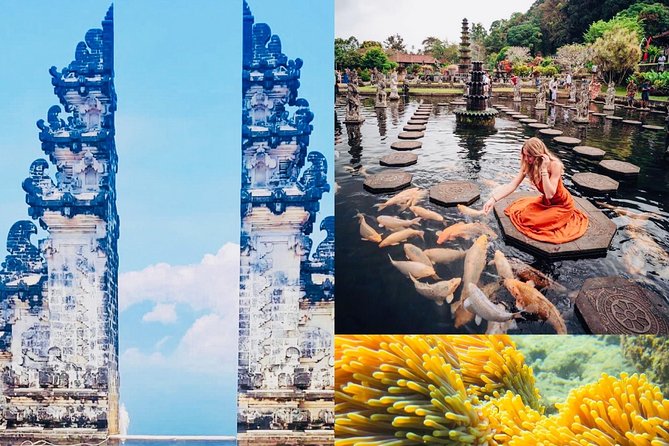 Bali Instagram Tour: The Most Popular Spots ( Private All-Inclusive ) - Stop 2: Tirta Gangga Water Garden for Royal Ponds and Garden Scenes