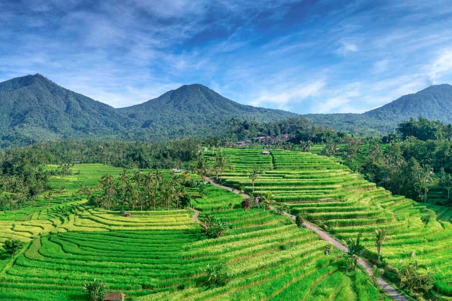 Bali: Jatiluwih Full-Day E-Bike and Trekking Tour - Key Things You’ll Notice on This Bali E-Bike + Trek Combo