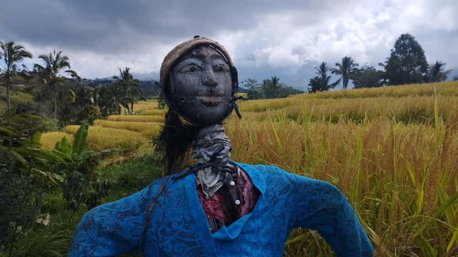 Bali: Jatiluwih Full-Day E-Bike and Trekking Tour - Why Jatiluwih Makes This Day Feel Worth It