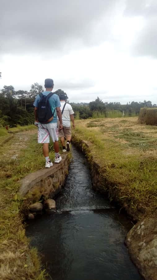 Bali: Jatiluwih Full-Day E-Bike and Trekking Tour - The 2.5-Hour Trek: Rice Terraces, River Edges, and Off-Path Walking