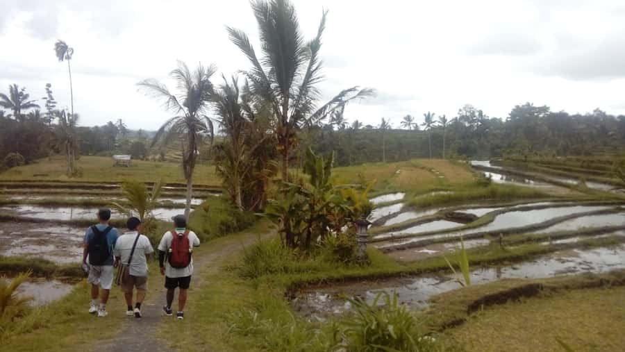 Bali: Jatiluwih Full-Day E-Bike and Trekking Tour - Who Should Book This E-Bike and Trek Tour