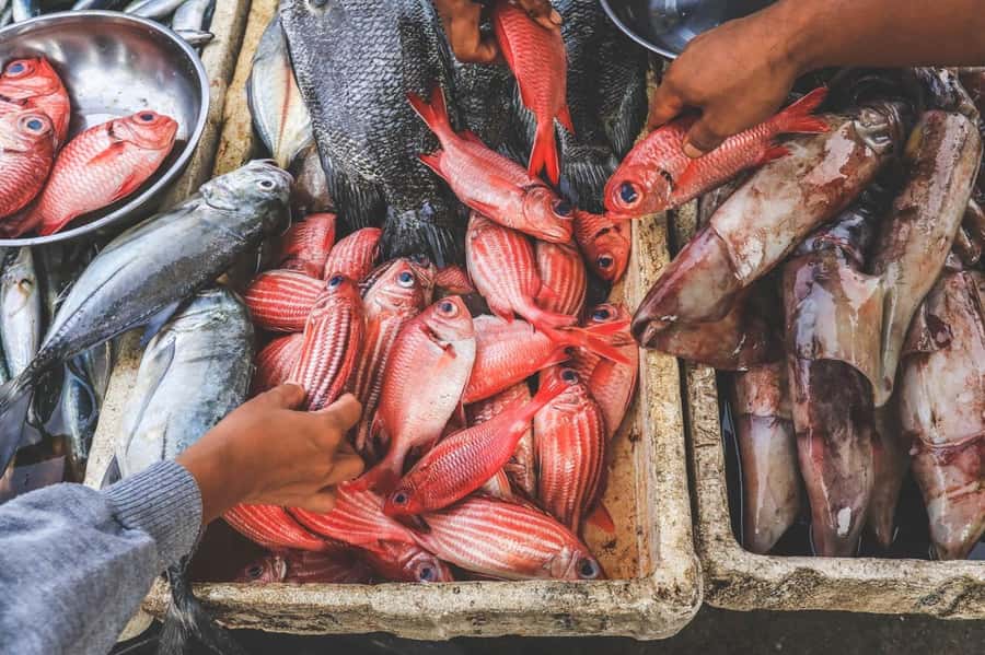 Bali: Jimbaran Seafood Market Tour with Sunset Dinner - The restaurant step: from market choice to coconut husk grilling