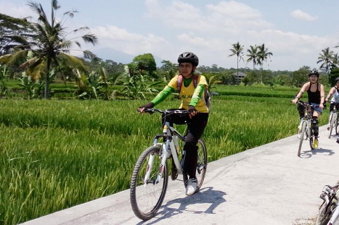 Bali Mountains and Villages Cycling Tour - Key things that make this tour worth your time