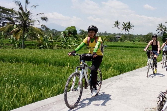 Bali Mountains and Villages Cycling Tour - Bayung Gede Kintamani: your high-hills launching point