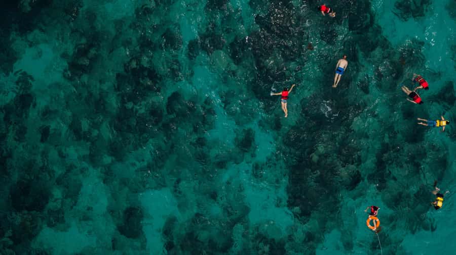 Bali/Nusa Dua: Snorkeling, Glass Boat Ride & Turtle Center - Nusa Dua Snorkeling: Easy Water, Real Expectations, Mixed Visibility