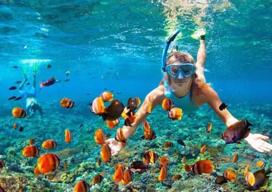 Bali/Nusa Dua: Snorkeling, Glass Boat Ride & Turtle Center - Padawa Watersport to Nusa Dua Beach and Back: How the Half-Day Usually Flows