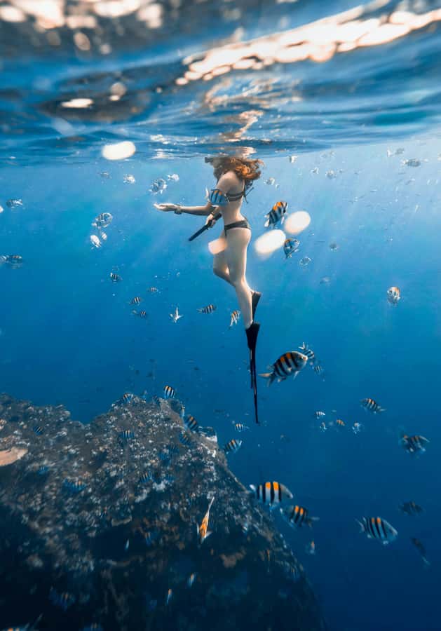 Bali/Nusa Dua: Snorkeling, Glass Boat Ride & Turtle Center - Who This Tour Fits Best (and Who Should Skip It)